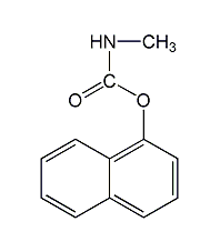 structural formula of methylamine