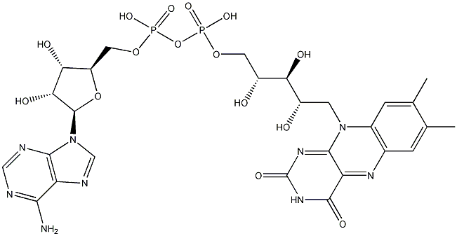 Adenine flavin structural formula