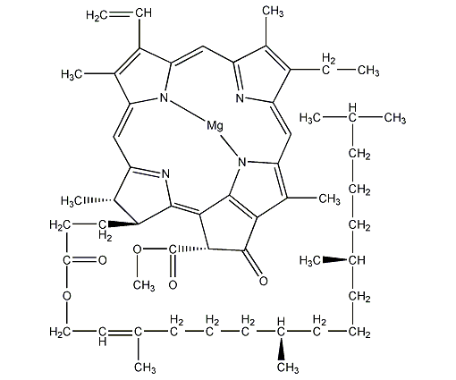Chlorophyll A structural formula
